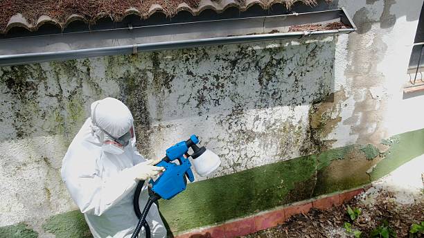 Top rated local Commercial Mold Remediation specialists in Lewisburg, PA